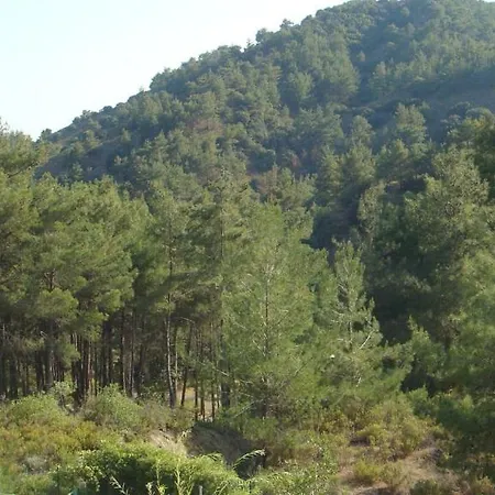 فيلة Mountain