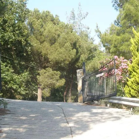 فيلة Mountain Moniatis