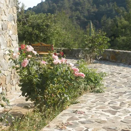 Villa Mountain *